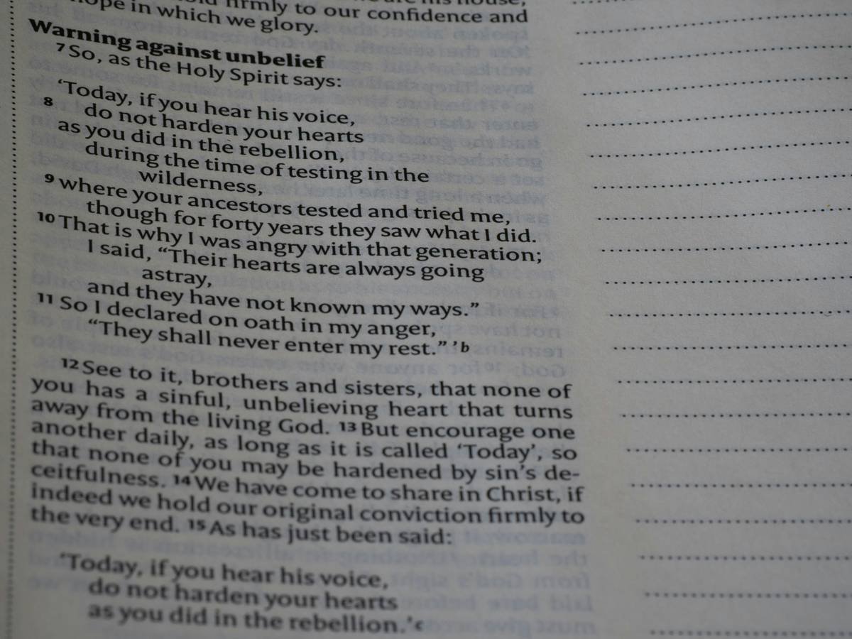 close up, bokeh, bible, new testament, christian, history, text, reading, bible study, devotions, christianity, scripture, epistle, letter, hebrews, typology, melchizedek, jesus, messiah,